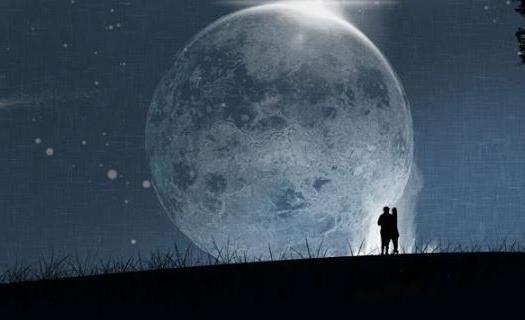 Add Image Description