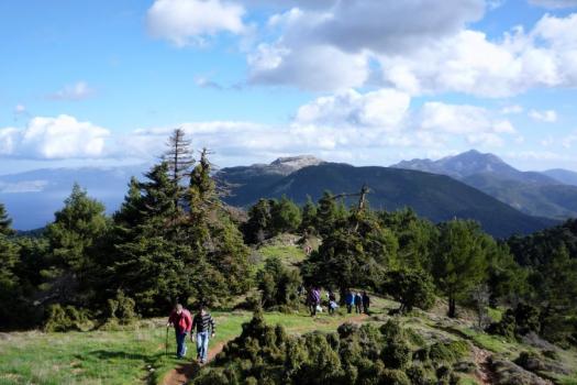 Add Image Description