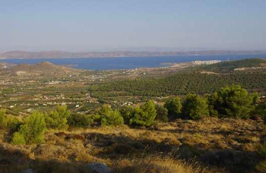 Add Image Description