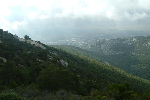 Add Image Description