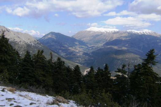 Add Image Description