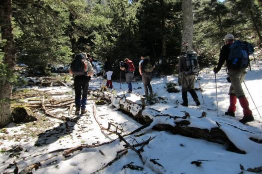 Add Image Description