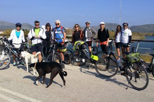 Add Image Description