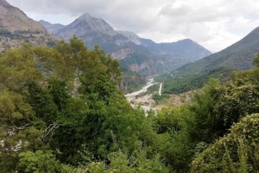 Add Image Description