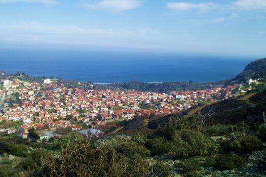 Add Image Description