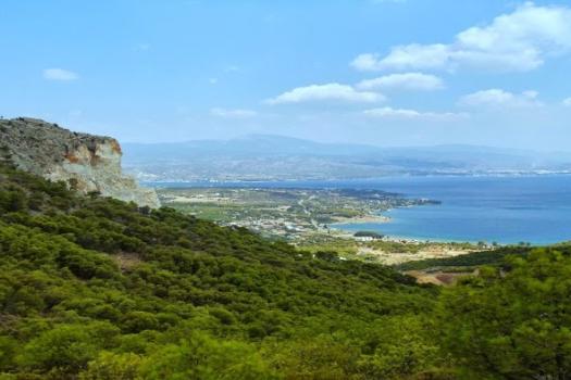 Add Image Description