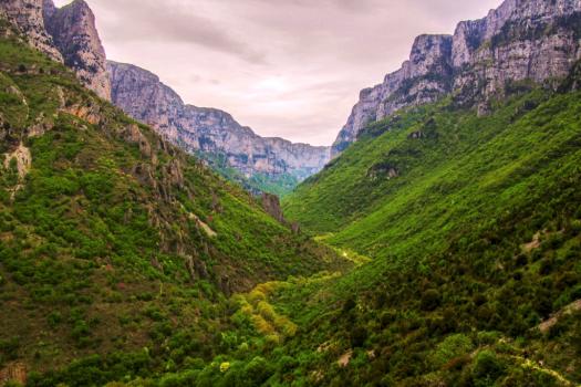 Add Image Description