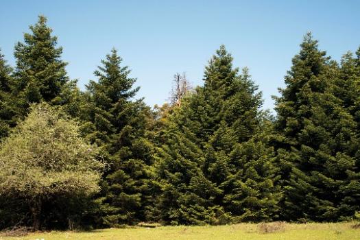 Add Image Description