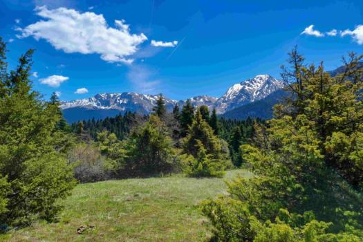 Add Image Description