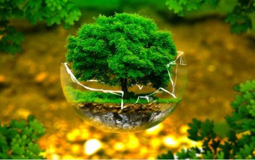 Παγκόσμια Ημέρα Περιβάλλοντος