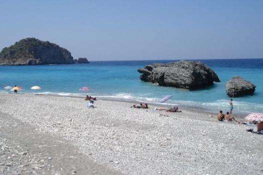 Add Image Description