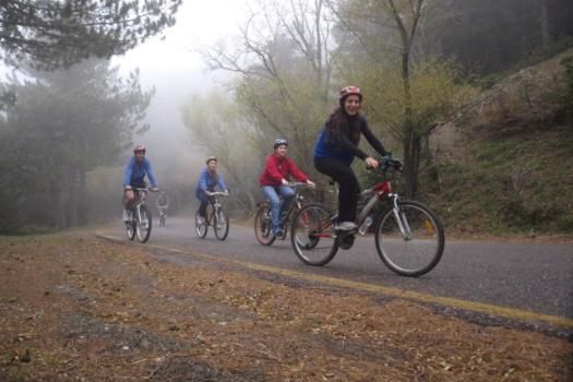 Add Image Description