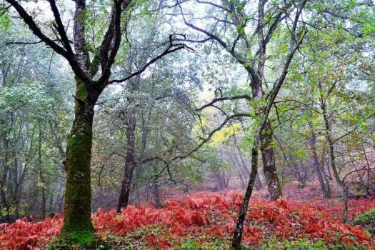 Add Image Description