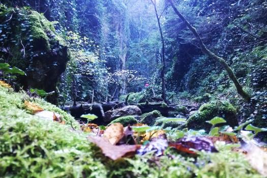 Add Image Description