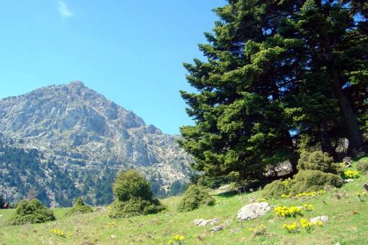 Add Image Description