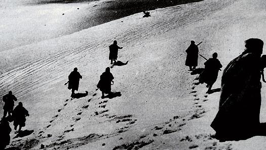 Add Image Description