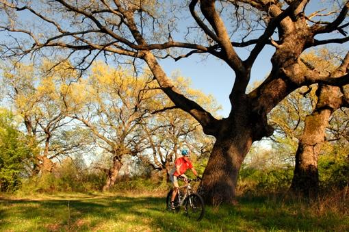 Add Image Description