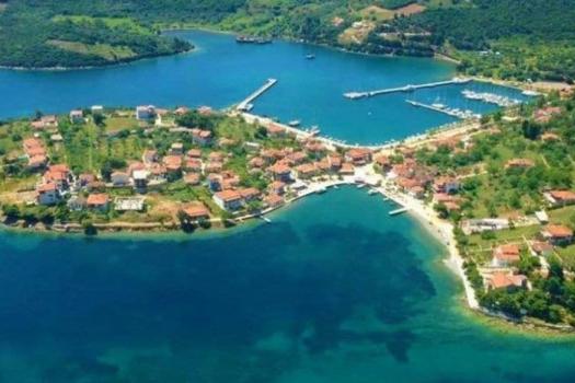 Add Image Description