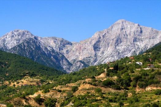 Add Image Description