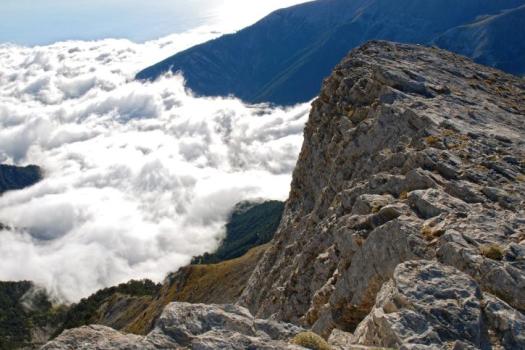 Add Image Description