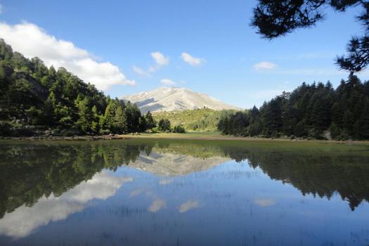 Add Image Description