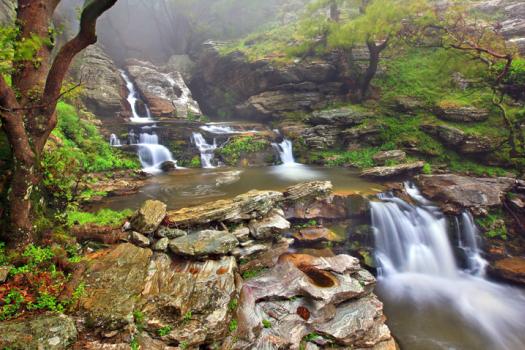 Add Image Description