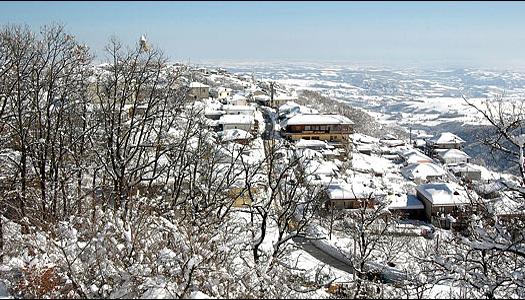 Add Image Description