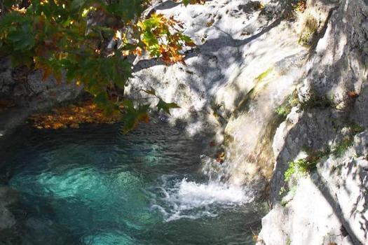 Add Image Description