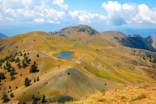 Add Image Description