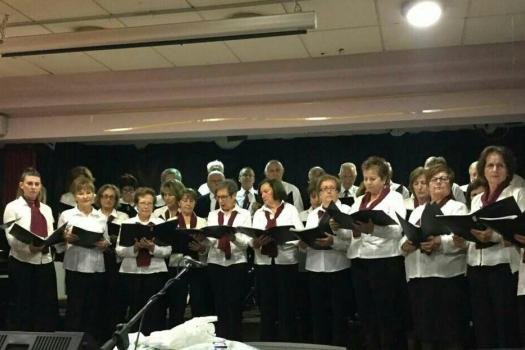 Add Image Description