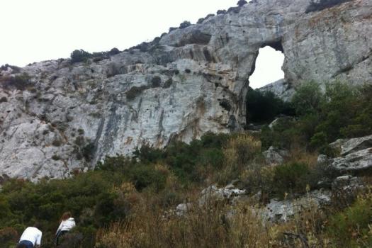 Add Image Description