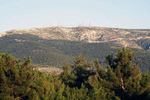 Add Image Description