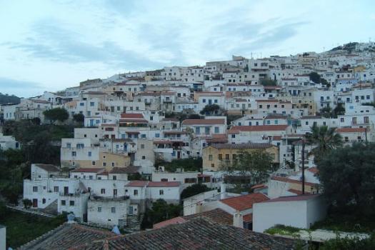 Add Image Description