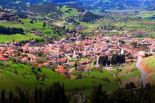 Add Image Description