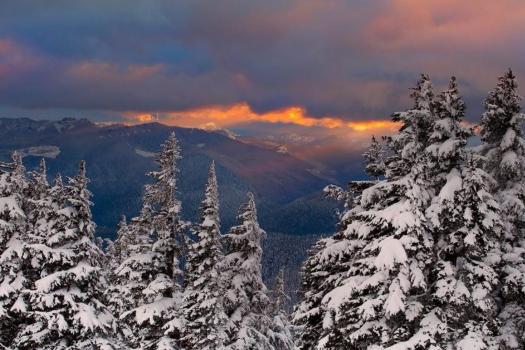 Add Image Description