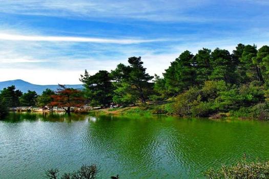 Add Image Description