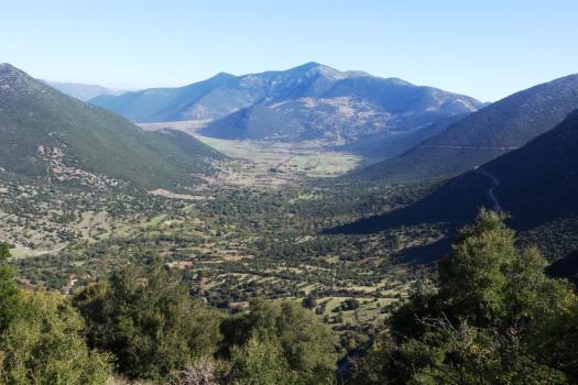 Add Image Description