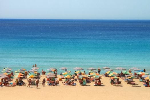 Add Image Description