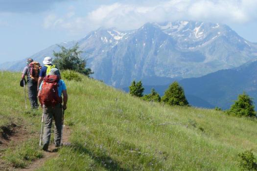 Add Image Description