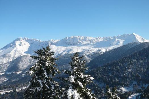 Add Image Description