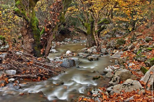 Add Image Description