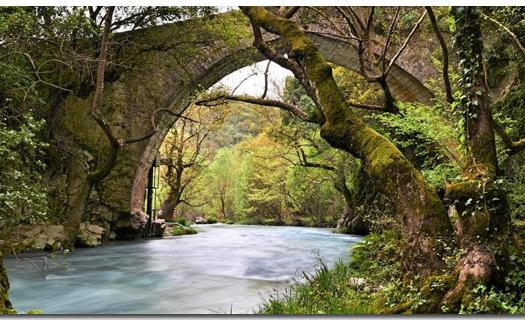 Add Image Description