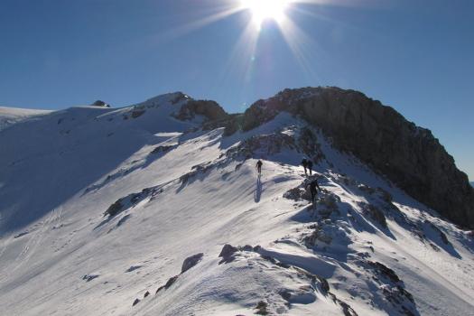 Add Image Description