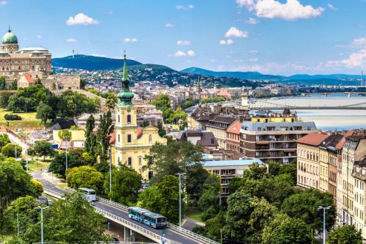 Add Image Description