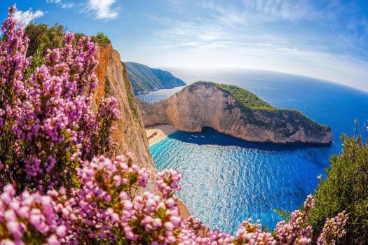 Add Image Description