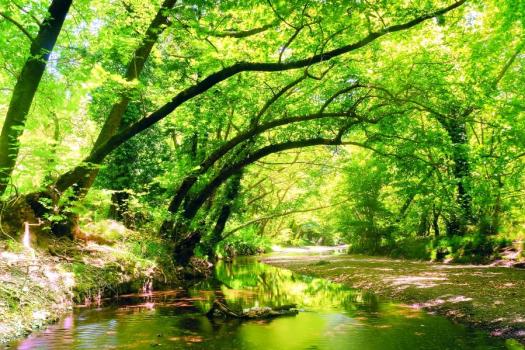 Add Image Description