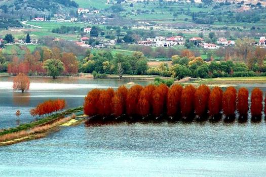 Add Image Description