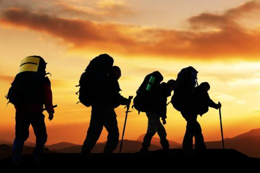 Add Image Description