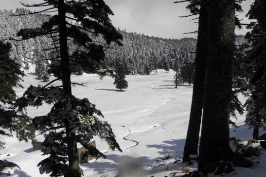 Add Image Description