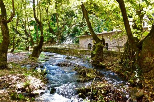 Add Image Description